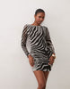 Mesh Mini Dress In Zebra Print