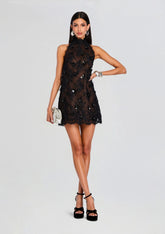 Banks Embellished Lace Dress