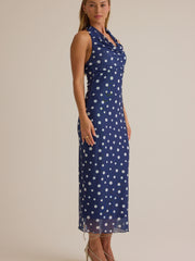 Bea Cowl Neck Maxi Dress