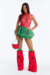 Juicy Watermelon 4 Piece Costume Set