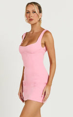Aretha Mini Dress - Panel Dress in Pink